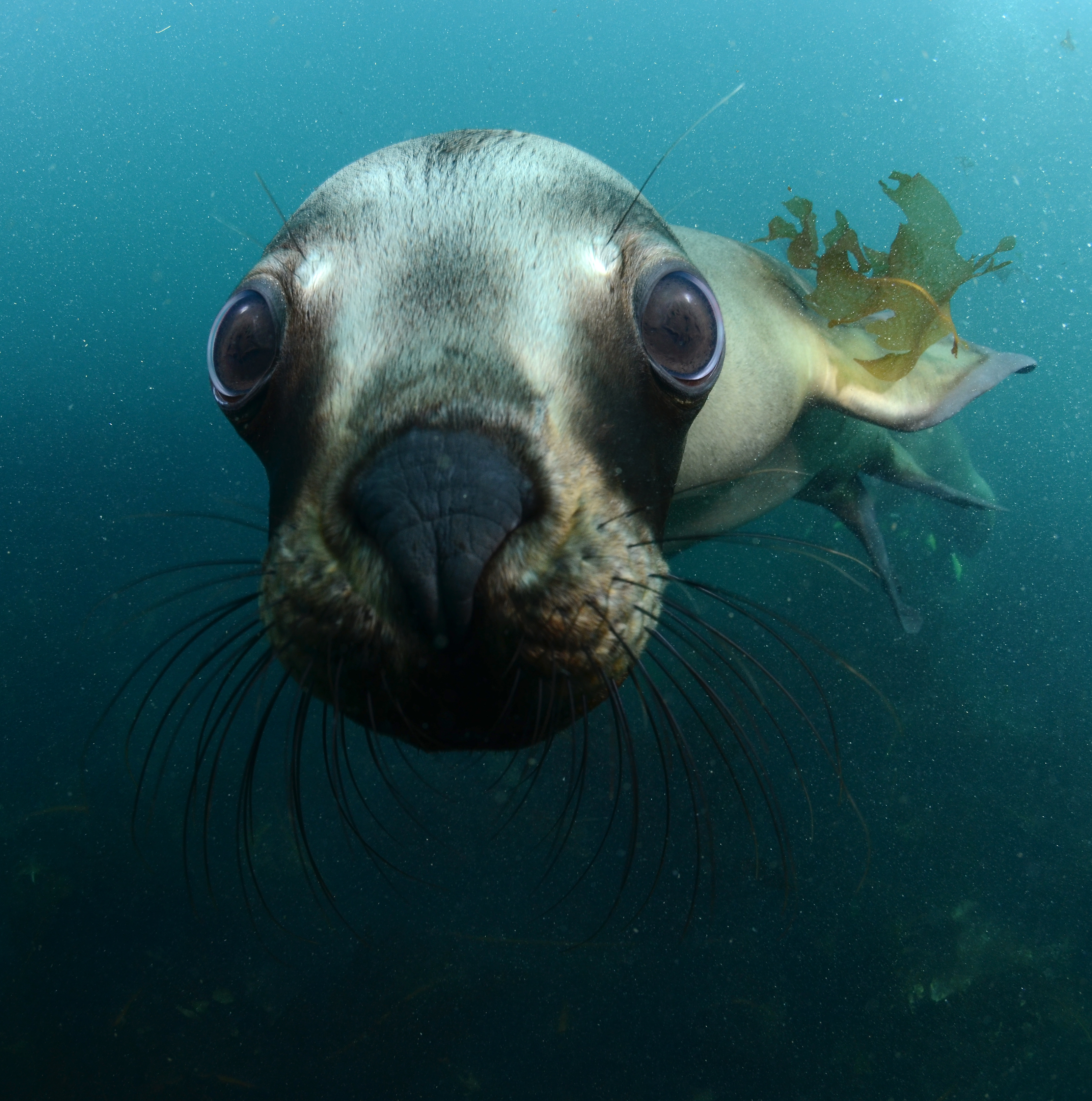 Excursiones de Aventura